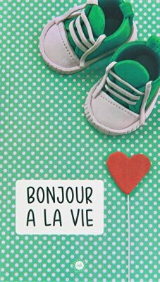 Bonjour a la Vie Hayata Merhaba Fransızca - 1