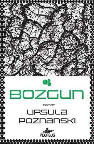 Bozgun - Pegasus Yayınları