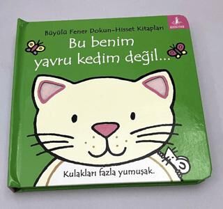 Bu Benim Yavru Kedim Değil… - 1