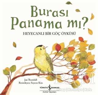Burası Panama mı? - 1