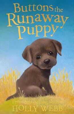 Buttons the Runaway Puppy - Bkmkitap