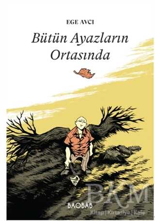 Bütün Ayazların Ortasında - Baobab Yayınları