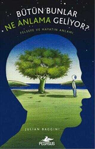 BÜTÜN BUNLAR NE ANLAMA GELİYOR? - Pegasus Yayınları