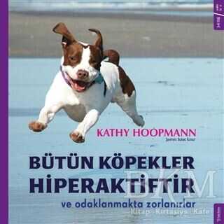 Bütün Köpekler Hiperaktiftir ve Odaklanmakta Zorlanırlar - Sola Kidz