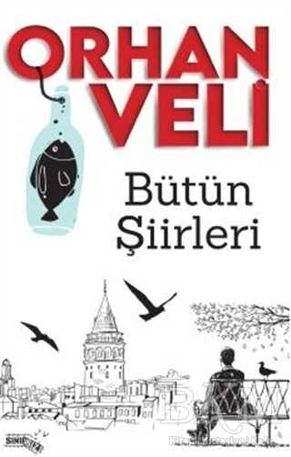 Bütün Şiirleri - 1