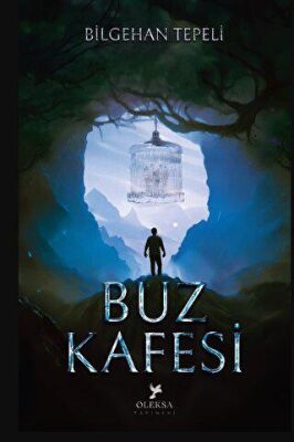 Buz Kafesi Şömizli - 1