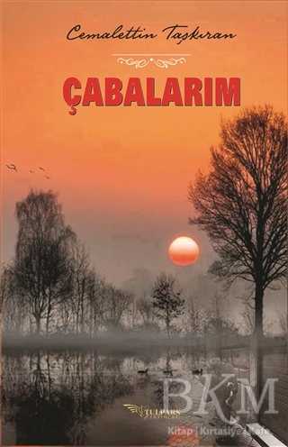 Çabalarım - Tulpars Yayınevi