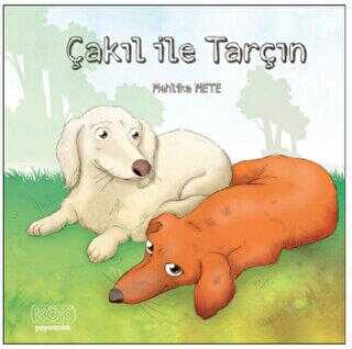 Çakıl ile Tarçın - Kök Yayıncılık