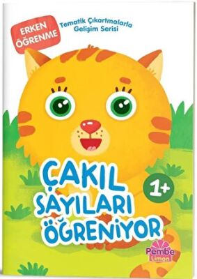 Çakıl Sayıları Öğreniyor - 1