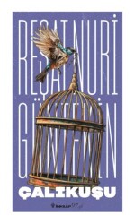 Çalıkuşu - İnkılap Kitabevi