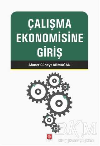 Çalışma Ekonomisine Giriş - Ekin Basım Yayın