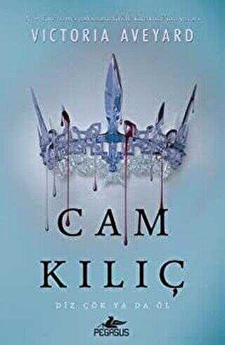 Cam Kılıç - Pegasus Yayınları