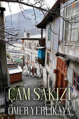 Çam Sakızı - 1