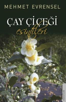 Çay Çiçeği Esintileri - 1