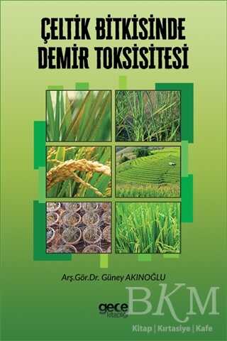 Çeltik Bitkisinde Demir Toksisitesi - Gece Kitaplığı