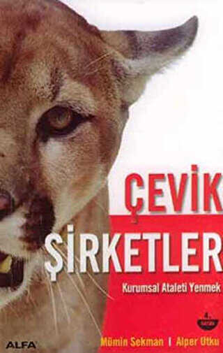 Çevik Şirketler - 1