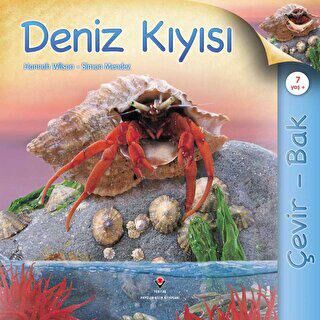 Çevir Bak - Deniz Kıyısı - 1