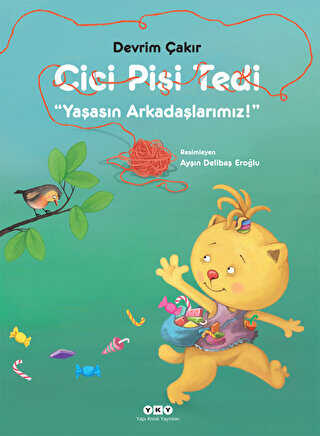 Cici Pisi Tedi - 1
