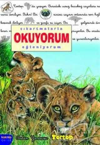 Çıkartmalarla Okuyorum Eğleniyorum - Aslan Yavrusu Tortop - Kaknüs Yayınları