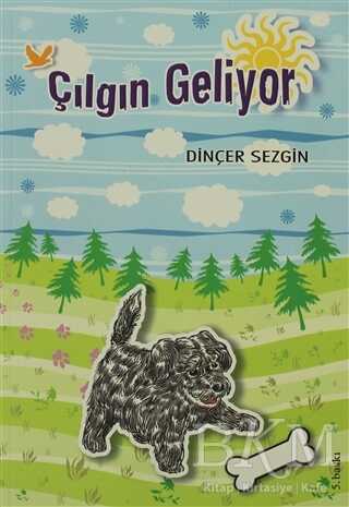 Çılgın Geliyor