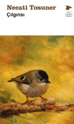 Çılgınsı - Alakarga Sanat Yayınları