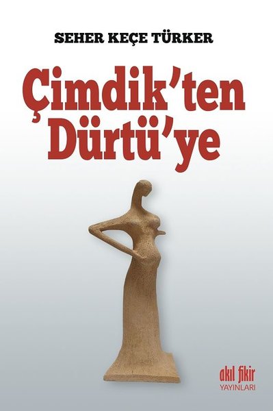 Çimdik`ten Dürtü`ye - Akıl Fikir Yayınları