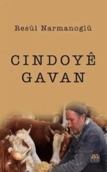 Cindoyê Gavan - J&J Yayınları