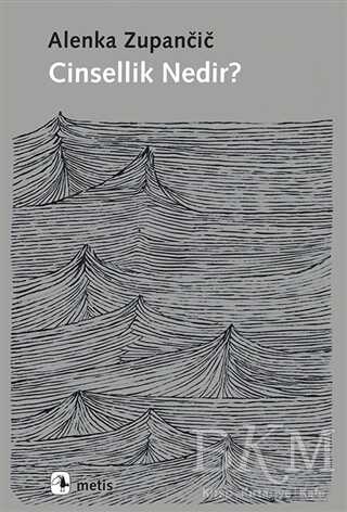 Cinsellik Nedir? - Metis Yayınları