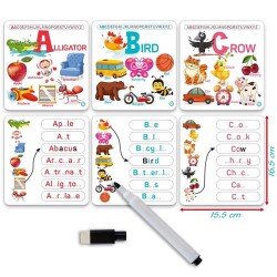 Circle Toys English Alphabet - 4