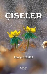 Çiseler - Gece Kitaplığı