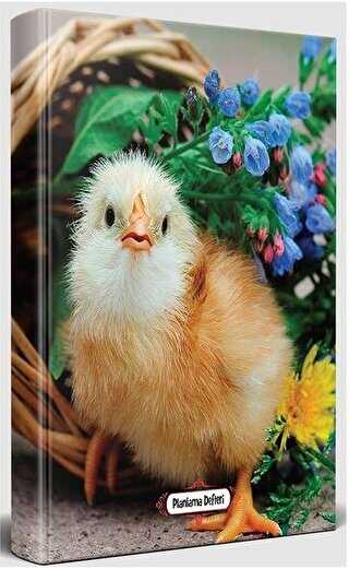 Civciv - Süresiz Planlama Defteri - Halk Kitabevi