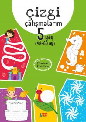 Çizgi Çalışmalarım 5+ Yaş kapağı