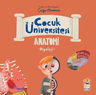 Çocuk Üniversitesi Biyoloji - Anatomi - Sincap Kitap