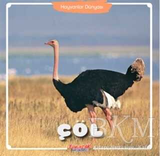Çöl - Hayvanlar Dünyası - Yumurcak Yayınları
