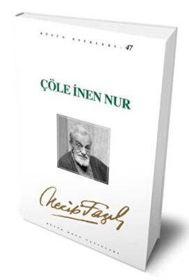 Çöle İnen Nur kapağı