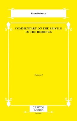 Commentary on the Epistle to the Hebrews - 1