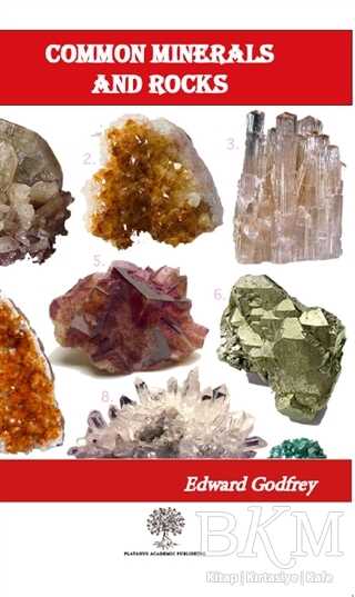 Common Minerals and Rocks - Platanus Publishing