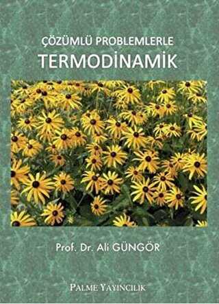 Çözümlü Problemlerle Termodinamik - Palme Yayıncılık