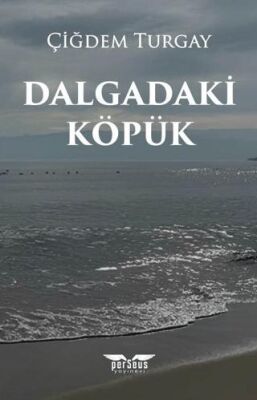 Dalgadaki Köpük - 1