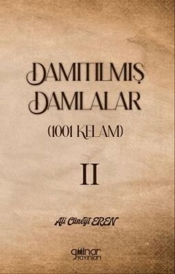 Damıtılmış Damlalar 1001 Kelam II - 1