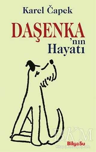 Daşenka`nın Hayatı - BilgeSu Yayıncılık