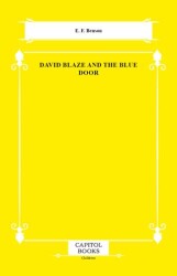 David Blaze and the Blue Door - Capitol Books