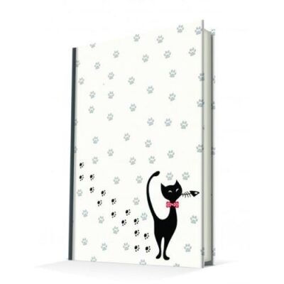 Deffter Aristokrat Kedi 14X20 Sert Kapak - 1