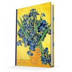 Deffter Art Of World Van Gogh 14X20 96 Sayfa Çizgili - Deffter