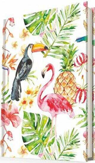 Flamingo Tucan - Deffter