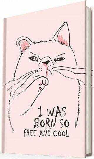 Free and Cool - Deffter