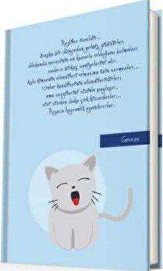 Deffter Kedileri Geveze - Deffter