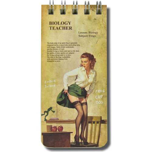 Deffter Pin-Up Kızları Öğretmen