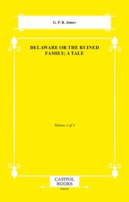 Delaware or the Ruined Family; A Tale - 1
