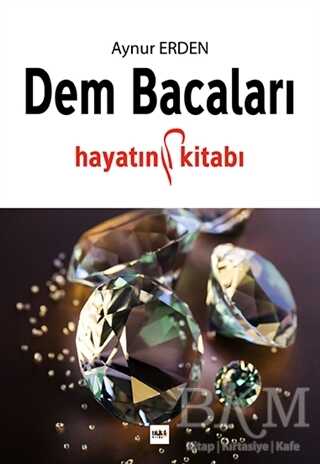 DEM BACALARI - Tilki Kitap